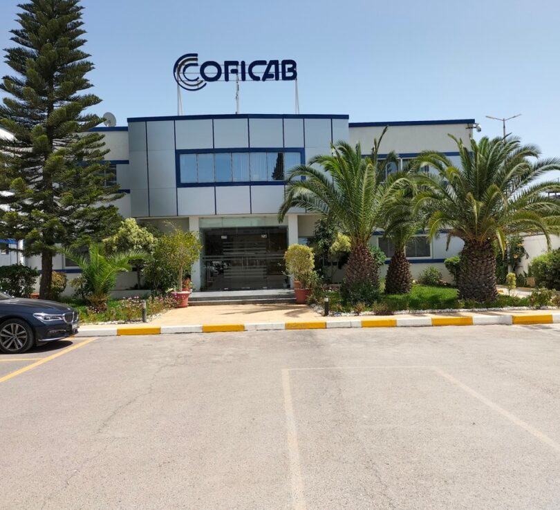 WhatsApp Image 2026-02-10 at 22.21.54